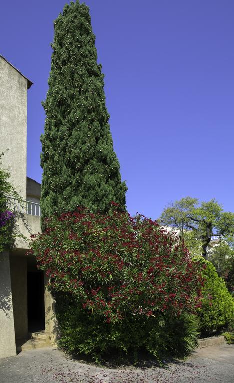 Motel Le Vieux Moulin L'Ile-Rousse  Exterior photo